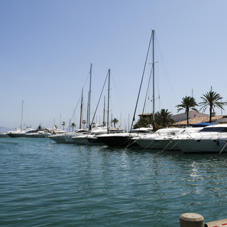 Mallorca 2008