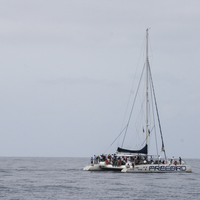 Teneriffa 2008