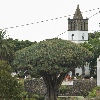 Teneriffa 2008