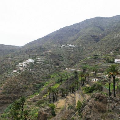 Teneriffa 2008