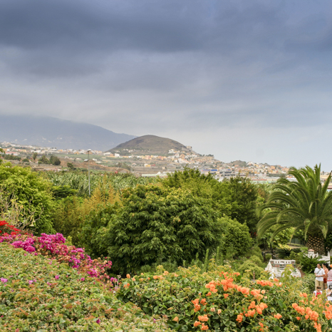Teneriffa 2008