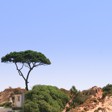 Portugal 2009