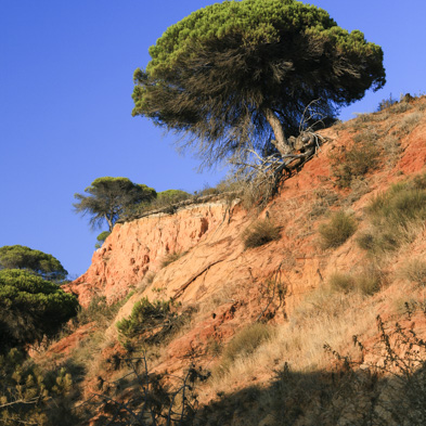 Portugal 2009