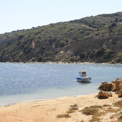Kos 2010