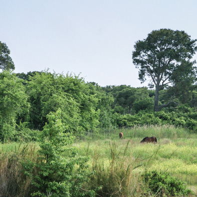 Tuerkei 2010