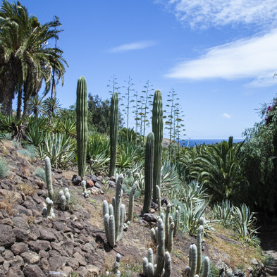 Fuerteventura 2011