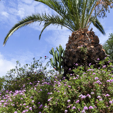 Fuerteventura 2013