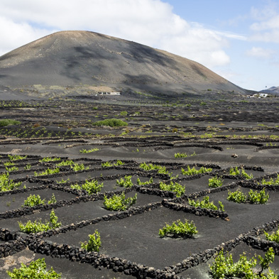 Lanzarote 2014
