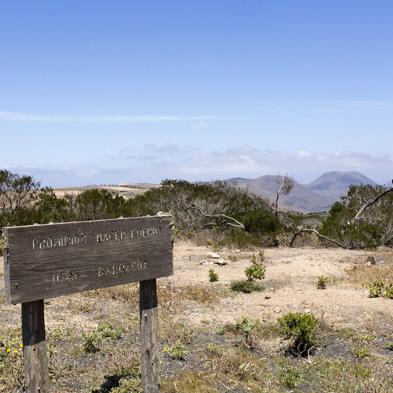 Lanzarote 2014