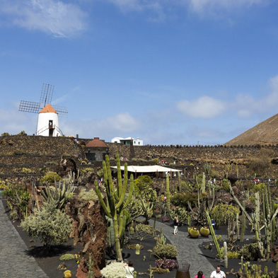 Lanzarote 2014