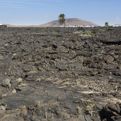 Lanzarote 2014