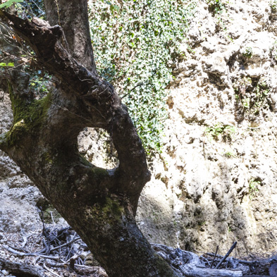 Rhodos 2015