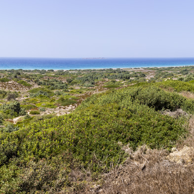 Rhodos 2015