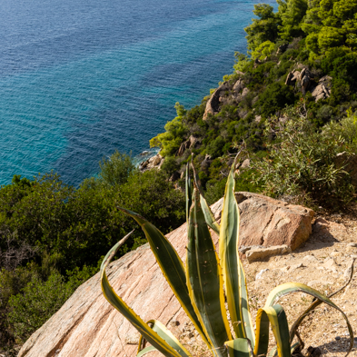 Chalkidiki 2017