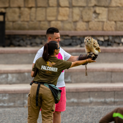 Teneriffa 2019