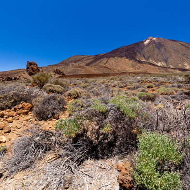 Teneriffa 2019
