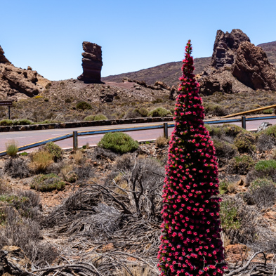 Teneriffa 2019