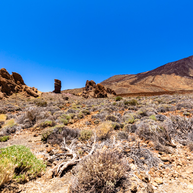 Teneriffa 2019