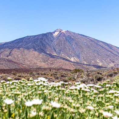 Teneriffa 2019