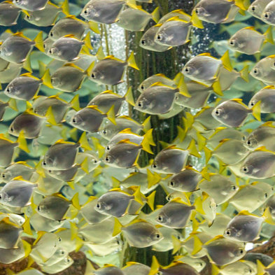 Teneriffa 2022