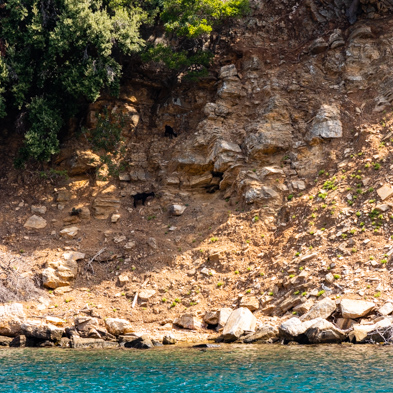 Thassos 2022
