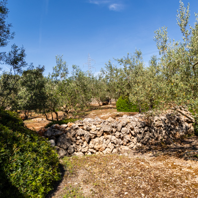 Mallorca 2023