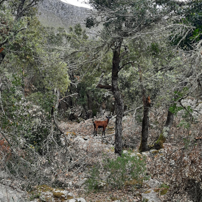 Mallorca 2023