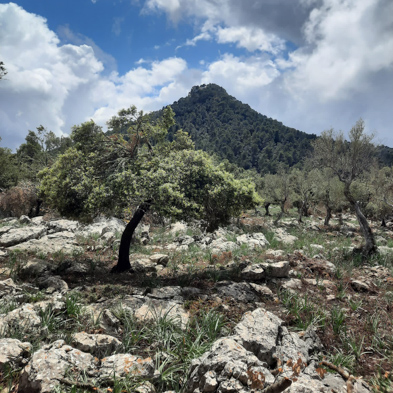 Mallorca 2023