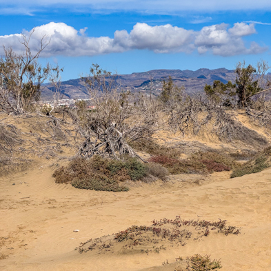 Gran Canaria 2024
