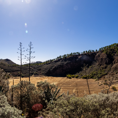 Gran Canaria 2024