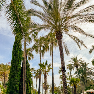 Mallorca 2024