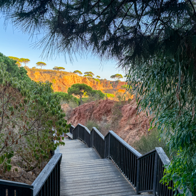 Algarve 2025